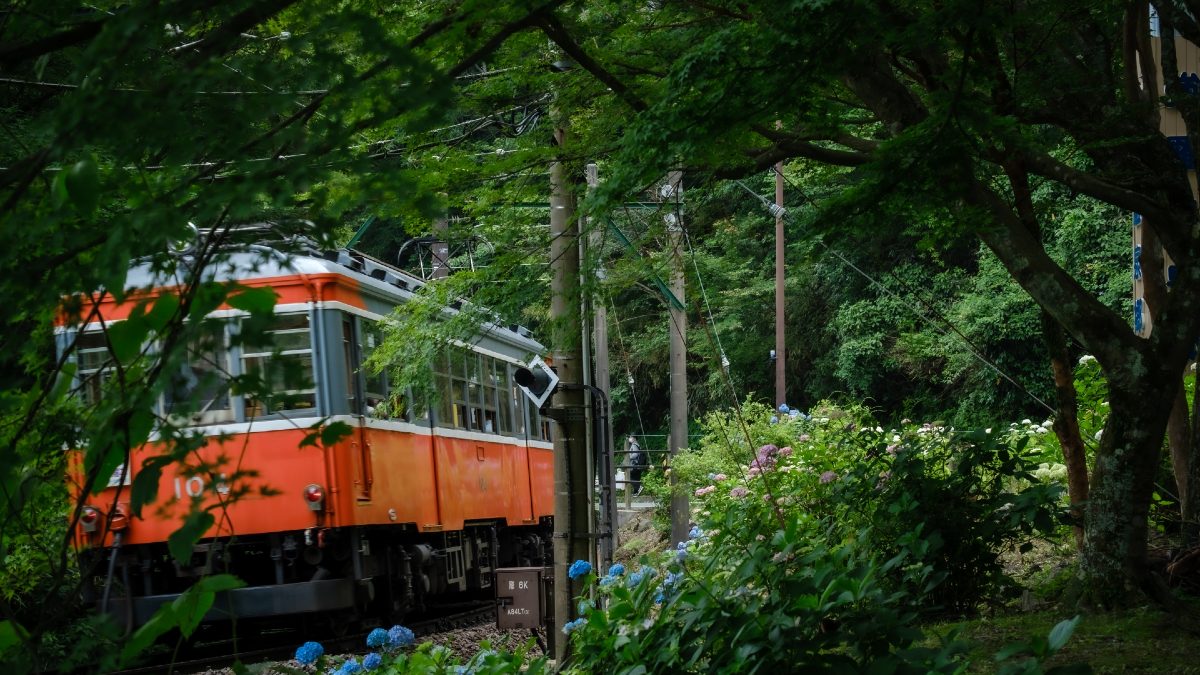箱根の登山鉄道