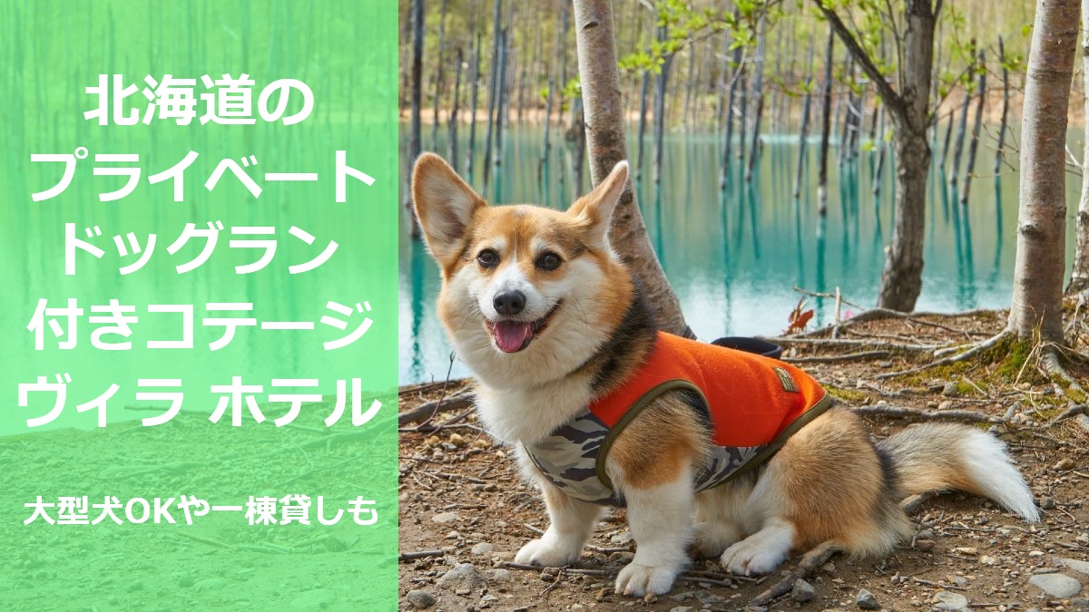 北海道のプライベートドッグラン付きコテージ ヴィラ ホテル 大型犬OKや一棟貸しも