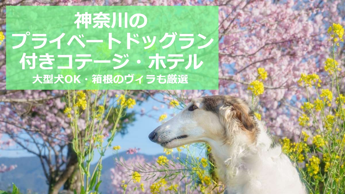 神奈川のプライベートドッグラン付きコテージ・ホテル 大型犬OK・箱根のヴィラも厳選