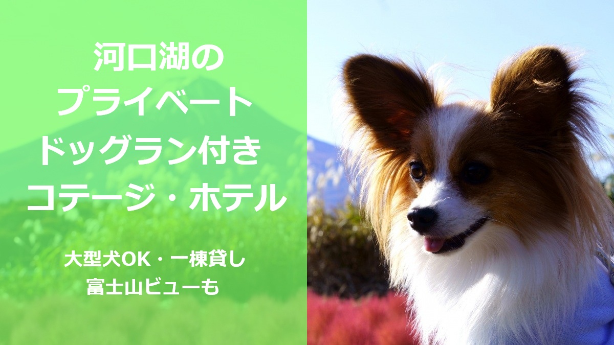 河口湖のプライベートドッグラン付きコテージ・ホテル 大型犬OK 一棟貸し 富士山ビューも