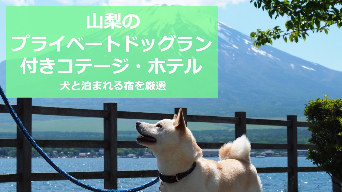 山梨のプライベートドッグラン付きコテージ・ホテル 犬と泊まれる宿を厳選